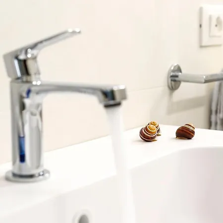 Le Maree Comfort בית הארחה 4*